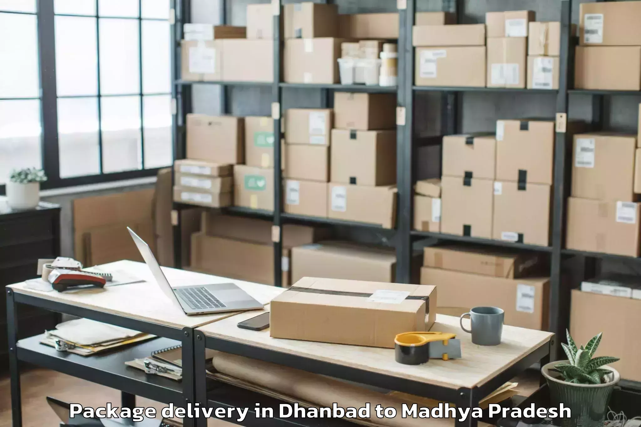 Quality Dhanbad to Rewa Airport Rew Package Delivery